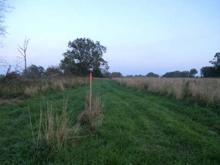 2014-09-20 Vägens början