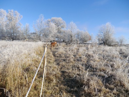 Vackraste dagen på året..