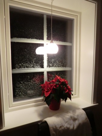 Inne har vi det gött medan snön yr utanför